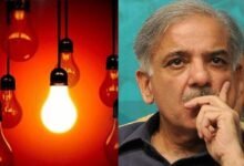Hammad Azhar, power crisis, loadshedding, PML-N govt