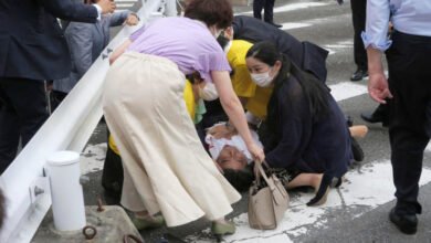 Shinzo Abe shot, Japan, Japan election