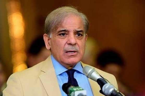 PM Shahbaz Sharif met Delegation of Qatar Investment Authority