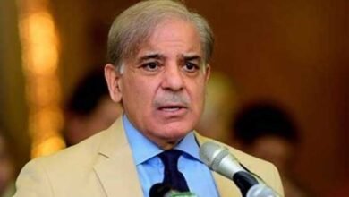 PM Shehbaz Sharif, federal cabinet, PDM govt