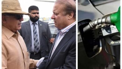 nawaz sharif, shehbaz sharif, petrol price hike