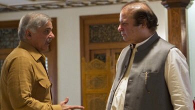 Nawaz Sharif, Shehbaz Sharif, petrol price hike, Nawaz Sharif return