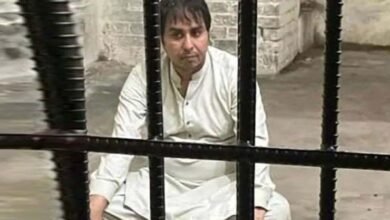 Shahbaz Gill, torture in jail, Hamid Mir