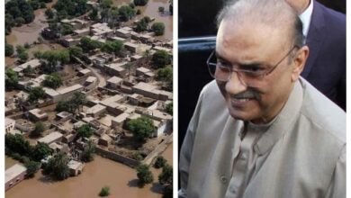 asif ali zardari, sindh flood