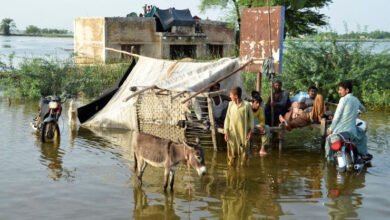 Pakistan floods, Dadu flood, medicines, flood victims