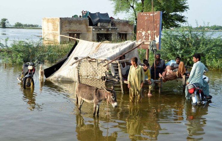 Pakistan floods, Dadu flood, medicines, flood victims