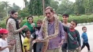 karachi zoo, huge snake