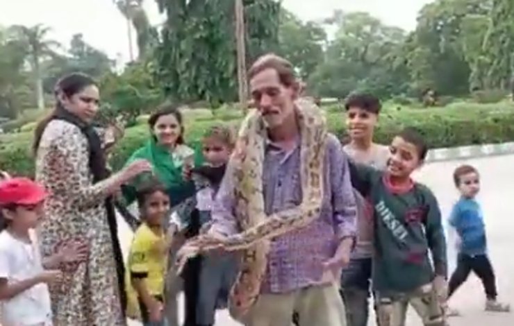 karachi zoo, huge snake
