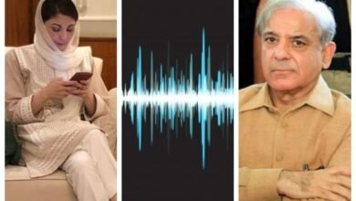 audio leak, maryam nawaz, pm shehbaz sharif