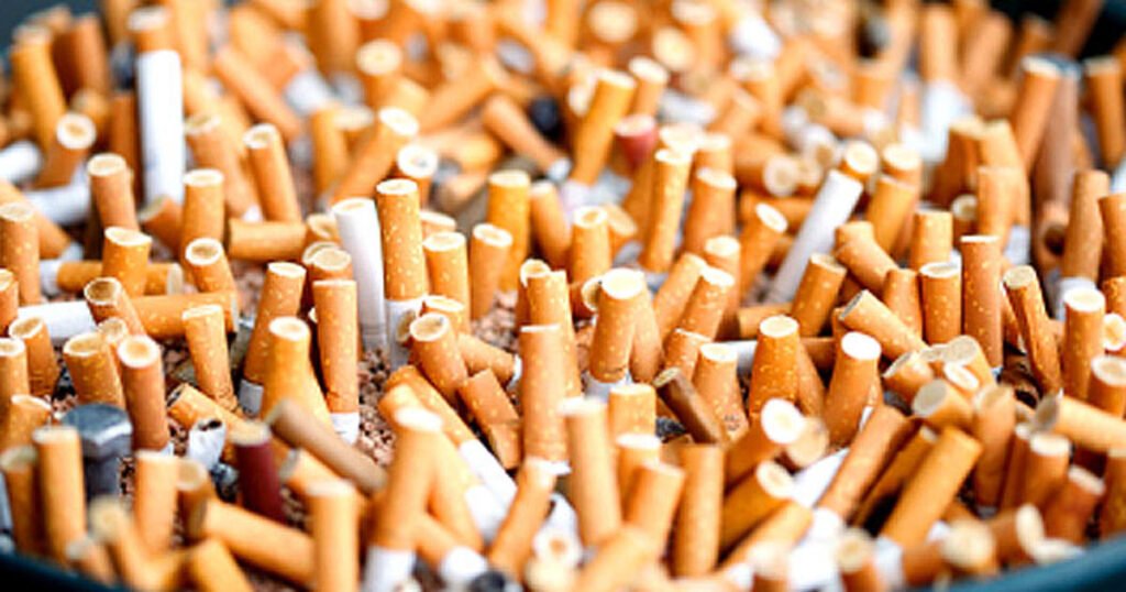 RTO Rawalpindi Seizes Non-Duty Paid Cigarettes