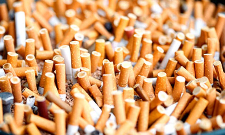 RTO Rawalpindi Seizes Non-Duty Paid Cigarettes