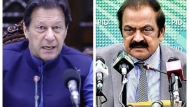 Rana Sanaullah abusive remarks, Imran Khan, PEMRA