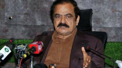 Rana Sanaullah, Arshad Sharif, Arshad Sharif cases