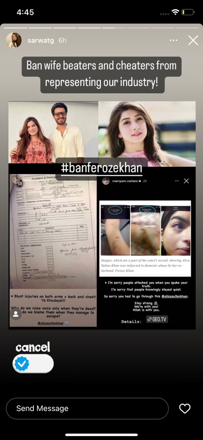 Feroze Khan, Aliza Sultan, torture evidence, celebrities