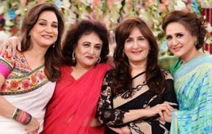 Bushra Ansari, nepotism, dynastic politics