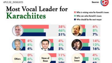 Karachi survey, Karachi most vocal leader, Hafiz Naeemur Rehman, JI, Pulse Consultant