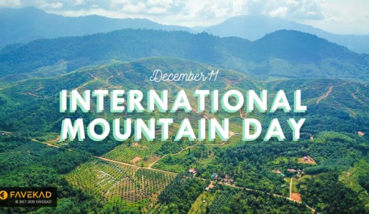 11th December International Mountain S Day As Per UN Declaration   International Mountains Day 