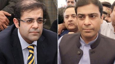 hamza shehbaz, salman shehbaz