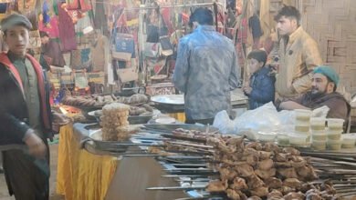 Lok Mela, Lok Virsa, Folk festival islamabad