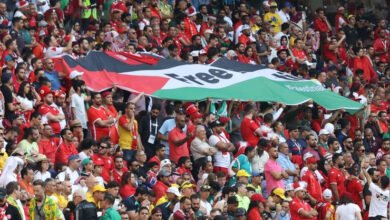 Palestine flag, FIFA most waved flag, FIFA World Cup 2022