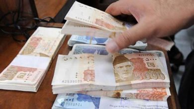 government borrowing, اندرونی قرضے