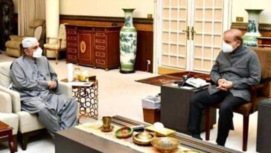 asif zardari meets prime minister, زرداری