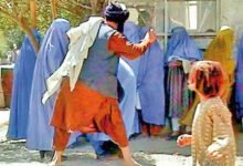 Taliban, sharia, divorced, Women, Former, husbands, order, طالبان، شریعت، طلاق یافتہ، خواتین، سابق، شوہروں، حکم،