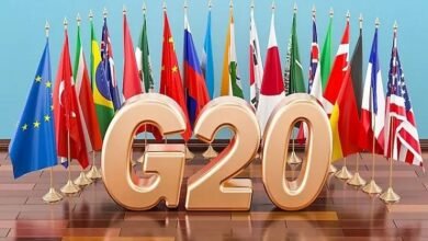 Srinagar, G20, meeting, Pakistan, Indian, action, severe, condemnation,سری نگر، جی 20، اجلاس، پاکستان، بھارتی، اقدام، شدید، مذمت،