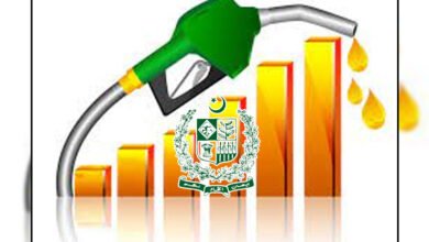 government, budget, petroleum, Levi, 10, From, 20 rupees, up to, increase, possibility, حکومت، بجٹ، پٹرولیم، لیوی، 10، سے، 20 روپ، تک، اضافے، امکان،