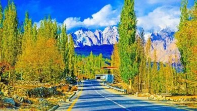 Photo of فوٹوگرافر کا وزیرِ اعظم عمران خان سے شکوہ