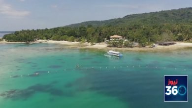 Photo of فلپائن میں کرونا کی وجہ سے غیر ملکی سیاحوں کی آمد میں84 فیصد کمی  