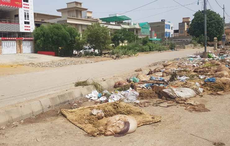 مرتضیٰ وہاب ایڈمنسٹریٹر