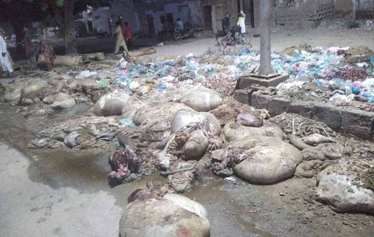 مرتضیٰ وہاب ایڈمنسٹریٹر