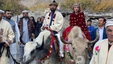 Photo of یاک پر سوار دلہن نے سب کو حیران کردیا