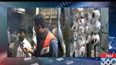 Photo of پشاور کی روایتی ڈش "پٹے دانے” ذائقے اور لذت میں اپنی مثال آپ