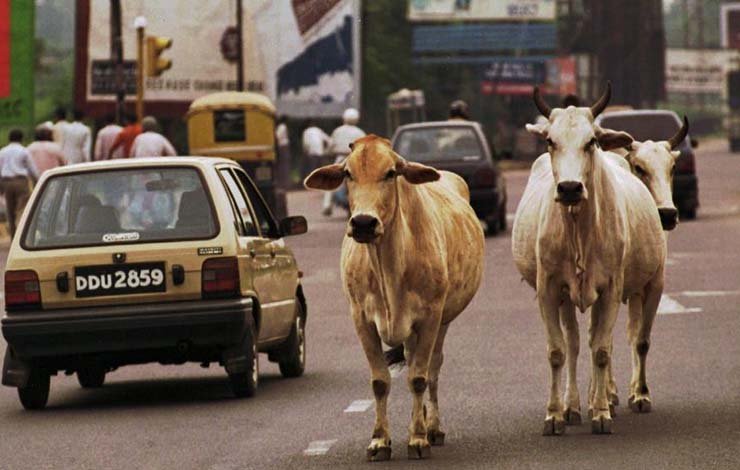 بھارتی شہر غازی آباد The Indian city of Ghaziabad