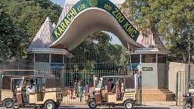 Photo of بختاور بھٹو زرداری کا کراچی چڑیا گھر بند کرنے کا مطالبہ