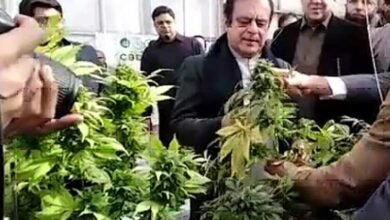 Photo of سینیٹر شبلی فراز نے منحرف اراکین اسمبلی کو لوٹا قرار دے دیا