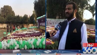 Photo of اسلامیہ کالج میں گل داؤدی کی نمائش ، 100 سے زائد اقسام شرکاء کی توجہ کا مرکز