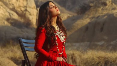 Photo of حدیقہ کیانی”دوبارہ“ کی کامیابی کے بعد کیا کرنے جارہی ہیں؟