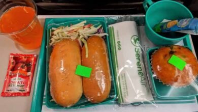 Photo of فلائٹ میں گوشت کیوں پیش کیا؟سماجی رہنما کپل دیو سیرین ایئر سے ناراض