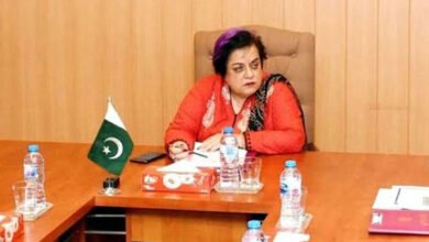 Photo of شیریں مزاری نے الیکشن کمیشن کو دائرہ اختیار کا سبق پڑھا دیا