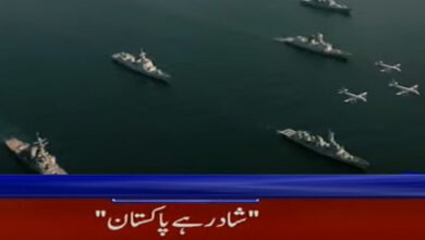 Photo of آئی ایس پی آر نے 23 مارچ کی مناسبت سے "شاد رہے پاکستان” نغمہ ریلیز کردیا