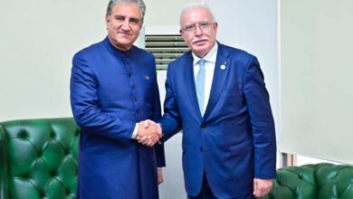 Photo of وزیر خارجہ کی فلسطینی ہم منصب کو غیر متزلزل حمایت کی یقین دہانی