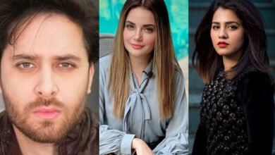 Photo of حکومت کیخلاف عدالتی فیصلے پر فنکاروں کا غم و غصے کا اظہار