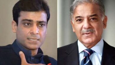 Photo of وزیراعلیٰ پنجاب ولد وزیر اعظم ،ملک میں موروثی سیاست کا بول بالا