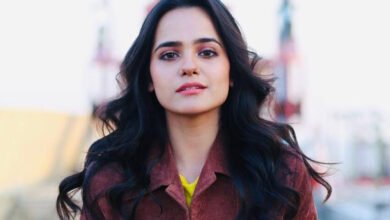 Photo of اداکارہ رابعہ کلثوم کا نواز، بلاول ملاقات پر اظہار افسوس