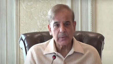 Photo of وزیراعظم کی معاشی مشاورتی کونسل میں کئی متنازع نام شامل