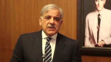 Photo of وزیراعظم شہبازشریف کی مسجداقصیٰ پر صہیونی حملے کی شدید مذمت