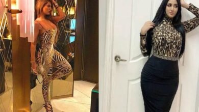 Photo of کیا متھیرا نے مسلم لیگ (ن) جوائن کرلی؟